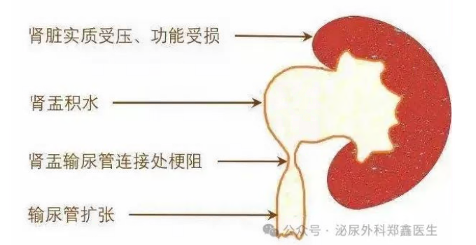 微信图片_20250618104141.png