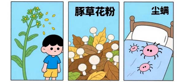 6.jpg 6.jpg